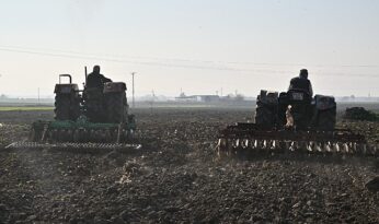 Büyükşehir’in Tohumları Sarıçalı Mahallesi’nin Merasını Yeşertecek