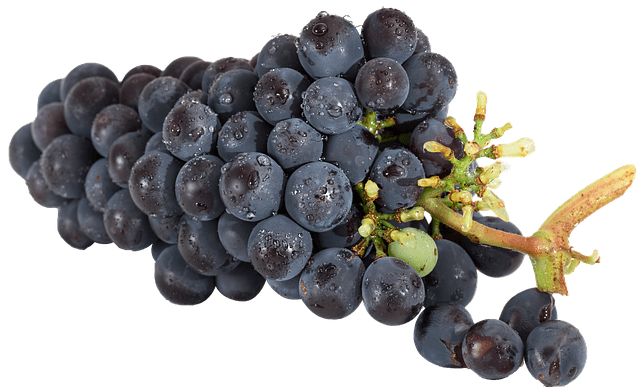 Diyet Yemekleri İçin Hafif Tarifler Diyet Yemekleri İçin Hafif Tarifler