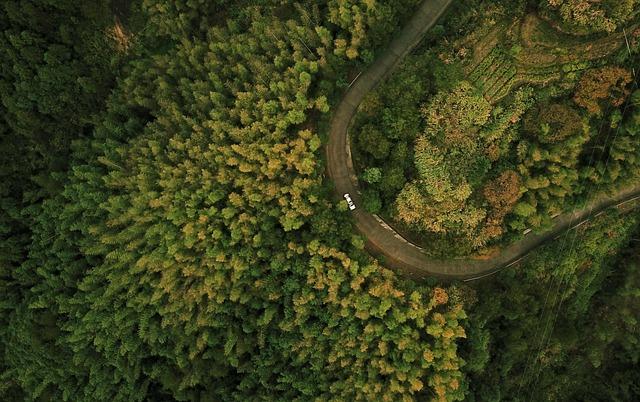 Rüyada Drone Görmek Ne Demek?